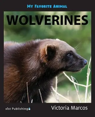 Mein Lieblingstier: Vielfraße - My Favorite Animal: Wolverines