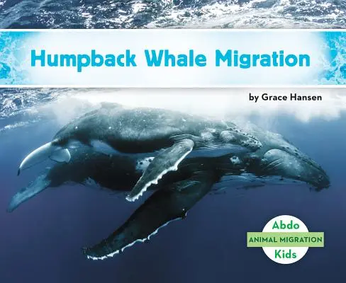 Wanderung der Buckelwale - Humpback Whale Migration