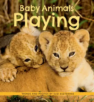 Baby-Tiere beim Spielen - Baby Animals Playing