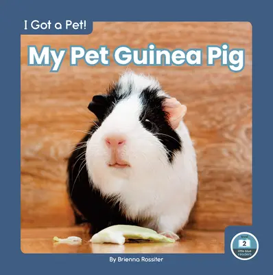 Mein Haustier Meerschweinchen - My Pet Guinea Pig