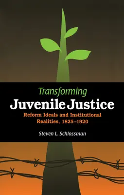 Jugendstrafrecht im Wandel: Reformideale und institutionelle Realitäten, 1825-1920 - Transforming Juvenile Justice: Reform Ideals and Institutional Realities, 1825-1920