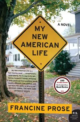 Mein neues amerikanisches Leben - My New American Life