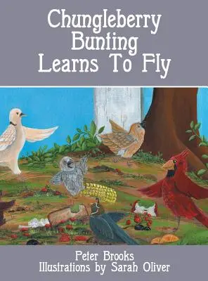 Die Buntbarschammer lernt fliegen - Chungleberry Bunting Learns to Fly