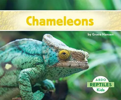 Chamäleons - Chameleons