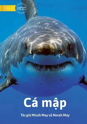 Haie - C mập - Sharks - C mập