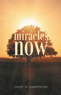 Miracles Now