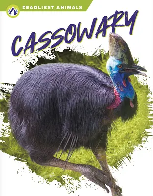 Kasuar - Cassowary