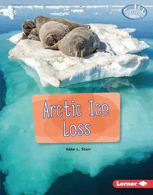 Arktischer Eisverlust - Arctic Ice Loss