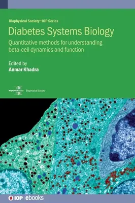 Diabetes-Systembiologie: Quantitative Methoden zum Verständnis der Dynamik und Funktion von Beta-Zellen - Diabetes Systems Biology: Quantitative methods for understanding beta-cell dynamics and function