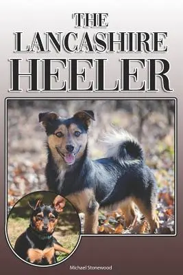 Der Lancashire Heeler: A Complete and Comprehensive Owners Guide to: Kaufen, Besitzen, Gesundheit, Pflege, Training, Gehorsam, Verstehen und - The Lancashire Heeler: A Complete and Comprehensive Owners Guide to: Buying, Owning, Health, Grooming, Training, Obedience, Understanding and