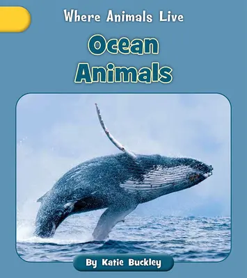 Ozean-Tiere - Ocean Animals