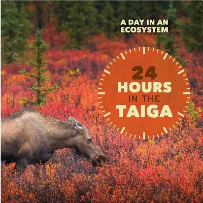 24 Stunden in der Taiga - 24 Hours in the Taiga