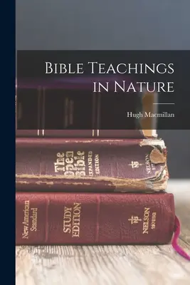 Biblische Lehren in der Natur - Bible Teachings in Nature