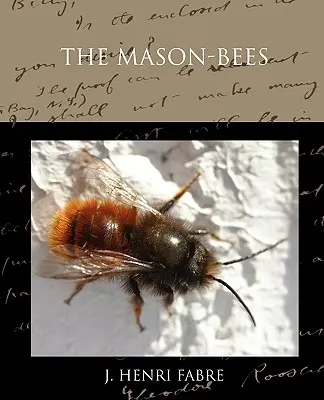 Die Maurerbienen - The Mason-bees