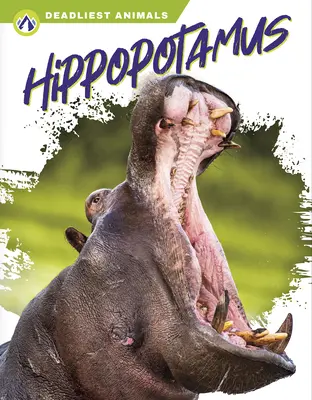 Nilpferd - Hippopotamus