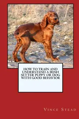 Wie man einen Irish Setter Welpen oder Hund mit gutem Benehmen ausbildet und erzieht - How to Train and Raise a Irish Setter Puppy or Dog with Good Behavior