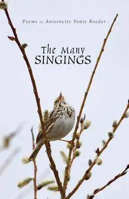Die vielen Gesänge - The Many Singings