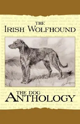 Der Irische Wolfshund - Eine Hunde-Anthologie (Ein Klassiker unter den alten Hundebüchern) - The Irish Wolfhound - A Dog Anthology (A Vintage Dog Books Breed Classic)