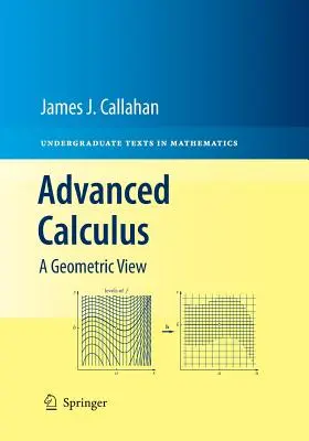 Fortgeschrittene Kalkulation: Eine geometrische Betrachtung - Advanced Calculus: A Geometric View