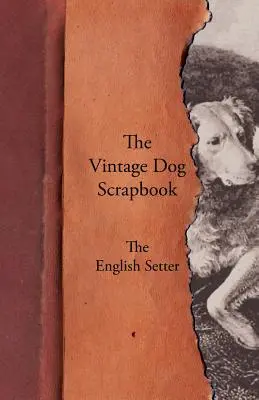 The Vintage Dog Scrapbook - Der English Setter - The Vintage Dog Scrapbook - The English Setter