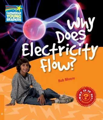 Warum fließt Elektrizität? Sachbuch für Stufe 6 - Why Does Electricity Flow? Level 6 Factbook