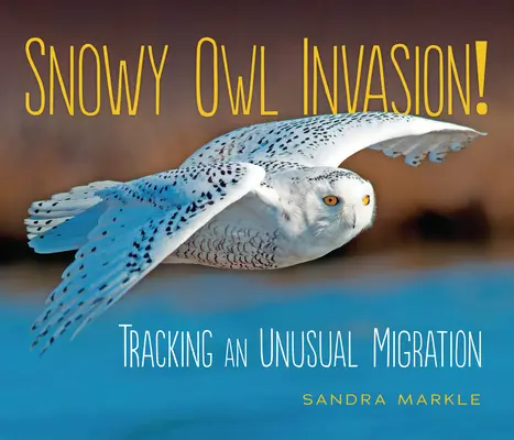 Die Invasion der Schneeeule: Die Verfolgung einer ungewöhnlichen Migration - Snowy Owl Invasion!: Tracking an Unusual Migration