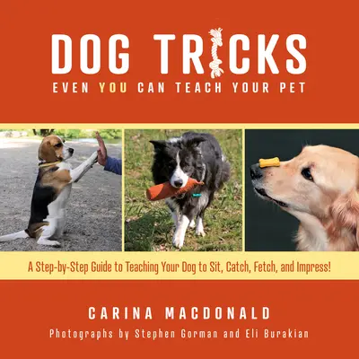 Hundetricks, die sogar Sie Ihrem Haustier beibringen können: Eine Schritt-für-Schritt-Anleitung, wie Sie Ihrem Haustier Sitz, Platz, Fang, Apportieren und Beeindrucken beibringen - Dog Tricks Even You Can Teach Your Pet: A Step-By-Step Guide to Teaching Your Pet to Sit, Catch, Fetch, and Impress