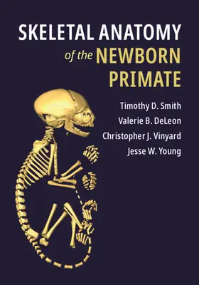 Skelettanatomie des neugeborenen Primaten - Skeletal Anatomy of the Newborn Primate