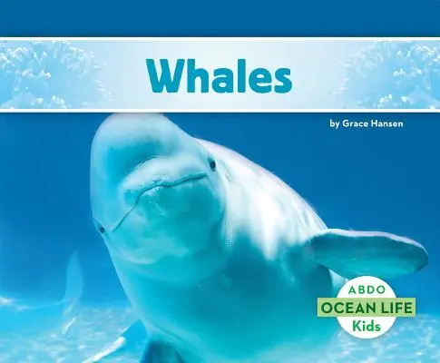 Wale - Whales
