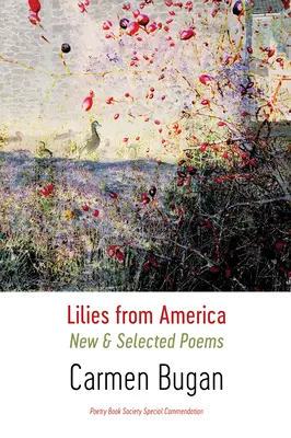 Lilien aus Amerika: Neue und ausgewählte Gedichte - Lilies from America: New and Selected Poems