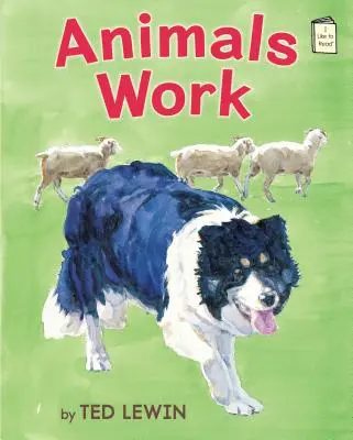 Tiere arbeiten - Animals Work