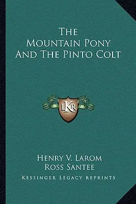 Das Bergpony und der Scheckenhengst - The Mountain Pony And The Pinto Colt
