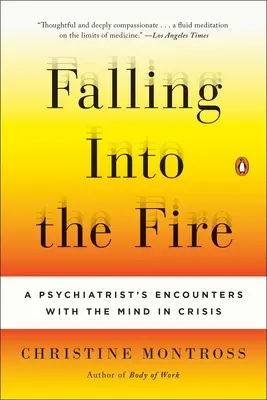 Ins Feuer stürzen: Die Begegnungen eines Psychiaters mit dem krisengeschüttelten Geist - Falling Into the Fire: A Psychiatrist's Encounters with the Mind in Crisis