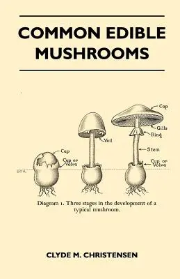 Gewöhnliche Speisepilze - Common Edible Mushrooms