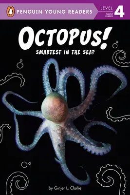 Oktopus: Der Klügste im Meer? - Octopus!: Smartest in the Sea?