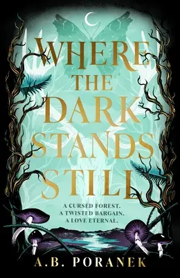 Wo die Dunkelheit stillsteht - Where the Dark Stands Still