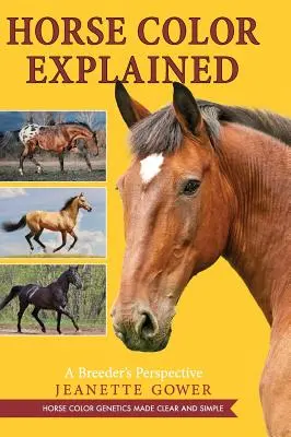 Pferdefarbe erklärt: Aus der Sicht eines Züchters - Horse Color Explained: A Breeder's Perspective