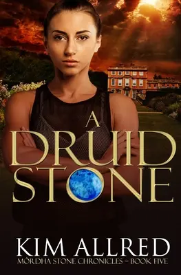 Ein Druidenstein: Ein romantisches Zeitreise-Abenteuer - A Druid Stone: A Time Travel Romance Adventure