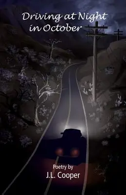 Fahren bei Nacht im Oktober - Driving at Night in October