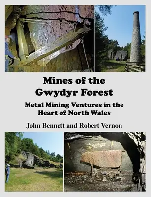 Die Minen des Gwydyr Forest: Metallbergbauunternehmen im Herzen von Nordwales - Mines of the Gwydyr Forest: Metal Mining Ventures in the Heart of North Wales