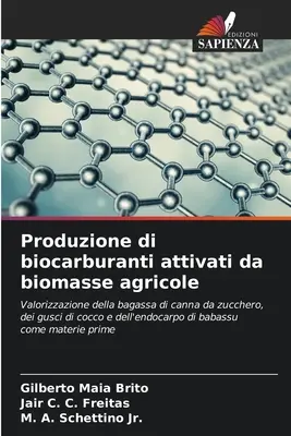 Herstellung von aktiven Biokohlenstoffen aus landwirtschaftlicher Biomasse - Produzione di biocarburanti attivati da biomasse agricole
