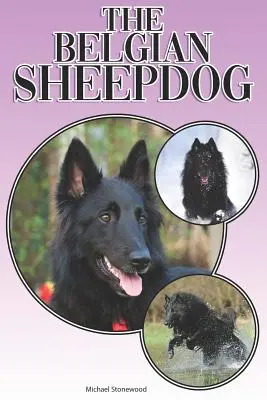Der Belgische Schäferhund: Ein kompletter und umfassender Leitfaden für Einsteiger: Kaufen, Besitzen, Gesundheit, Pflege, Training, Gehorsam, Verstehen - The Belgian Sheepdog: A Complete and Comprehensive Beginners Guide To: Buying, Owning, Health, Grooming, Training, Obedience, Understanding