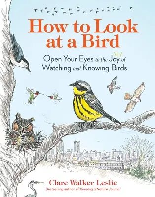 Wie man einen Vogel anschaut: Öffne deine Augen für die Freude am Beobachten und Kennenlernen von Vögeln - How to Look at a Bird: Open Your Eyes to the Joy of Watching and Knowing Birds