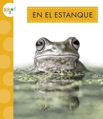 Im Estanque - En El Estanque