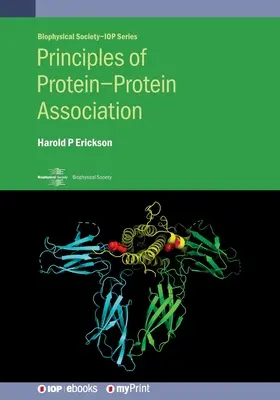 Prinzipien der Protein-Protein-Assoziation - Principles of Protein-Protein Association