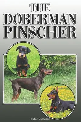 Der Dobermann Pinscher: Ein komplettes und umfassendes Handbuch für den Besitzer: Kaufen, Besitzen, Gesundheit, Pflege, Training, Gehorsam, Verstehen und - The Doberman Pinscher: A Complete and Comprehensive Owners Guide To: Buying, Owning, Health, Grooming, Training, Obedience, Understanding and