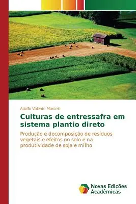 Culturas de entressafra em sistema plantio direto