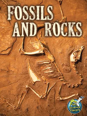 Fossilien und Gesteine - Fossils and Rocks