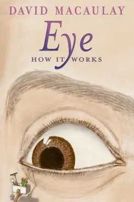 Auge: So funktioniert's - Eye: How It Works