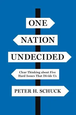 Eine Nation unentschieden: Klares Denken über fünf schwierige Themen, die uns spalten - One Nation Undecided: Clear Thinking about Five Hard Issues That Divide Us